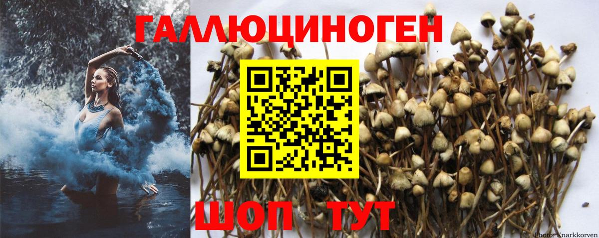 Галлюциногенные грибы ЛСД Шебекино