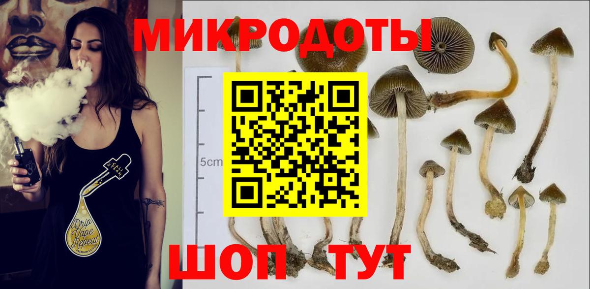Шебекино  Галлюциногенные грибы Magic Shrooms  Вход с VPN 